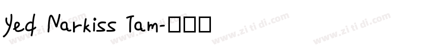 Yed Narkiss Tam字体转换